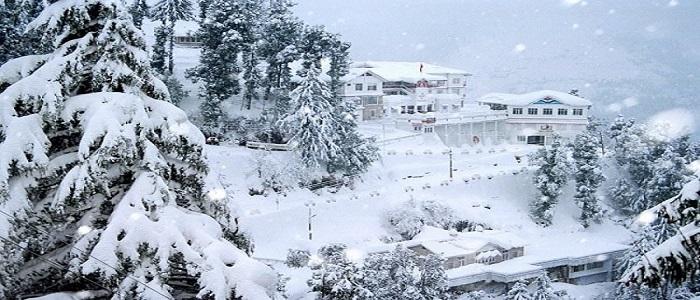 Why Manali Is The Best Summer Getaway