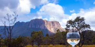 Tasmania: Why Everyone Should Visit Australia's Largest Island