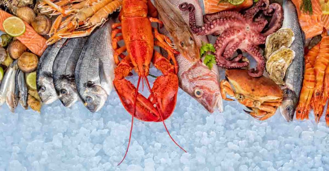 What is the healthiest seafood to consume?