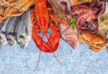 What is the healthiest seafood to consume?