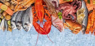 What is the healthiest seafood to consume?