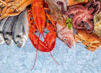 What is the healthiest seafood to consume?