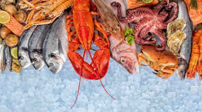What is the healthiest seafood to consume?